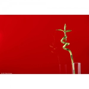 Цветное стекло Red Luminous 4 мм, цвет светло-красный